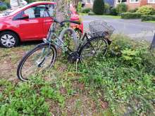 Bild zu gemeldetem Anliegen vom *2025-01-20 15:29:21