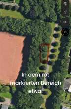Bild zu gemeldetem Anliegen vom *2025-01-13 18:31:06