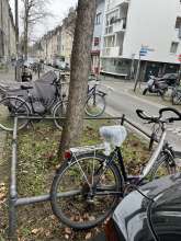 Bild zu gemeldetem Anliegen vom *2025-01-15 09:30:28
