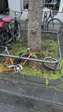 Bild zu gemeldetem Anliegen vom *2025-01-07 09:29:36