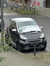Bild zu gemeldetem Anliegen vom *2025-01-11 09:27:14