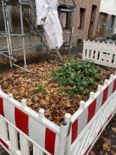 Bild zu gemeldetem Anliegen vom *2025-01-12 12:29:23