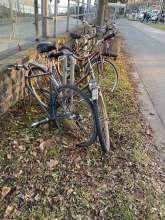 Bild zu gemeldetem Anliegen vom *2025-01-18 17:48:33