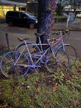 Bild zu gemeldetem Anliegen vom *2025-01-16 06:29:32