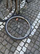 Bild zu gemeldetem Anliegen vom *2025-01-25 15:32:28