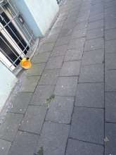 Bild zu gemeldetem Anliegen vom *2025-01-13 10:34:44