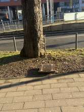 Bild zu gemeldetem Anliegen vom *2025-01-13 10:57:54
