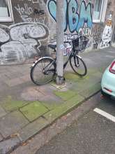 Bild zu gemeldetem Anliegen vom *2025-02-09 09:34:44