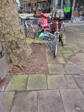 Bild zu gemeldetem Anliegen vom *2025-02-13 12:32:27