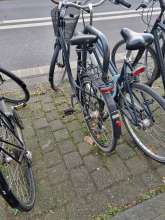 Bild zu gemeldetem Anliegen vom *2025-02-19 16:51:53