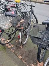 Bild zu gemeldetem Anliegen vom *2025-02-24 08:04:12