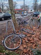 Bild zu gemeldetem Anliegen vom *2025-02-11 08:14:58