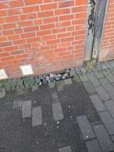 Bild zu gemeldetem Anliegen vom *2025-02-03 08:25:08