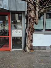 Bild zu gemeldetem Anliegen vom *2025-02-14 15:29:50