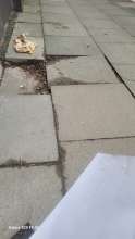 Bild zu gemeldetem Anliegen vom *2025-02-07 06:23:43