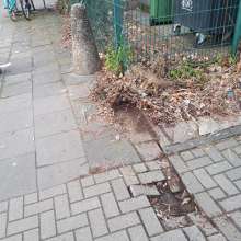Bild zu gemeldetem Anliegen vom *2025-02-13 09:30:18