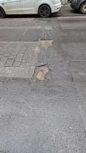 Bild zu gemeldetem Anliegen vom *2025-02-13 09:30:18