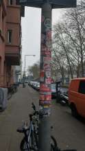 Bild zu gemeldetem Anliegen vom *2025-02-18 15:29:29