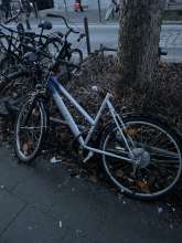 Bild zu gemeldetem Anliegen vom *2025-02-18 15:29:29