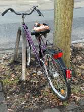 Bild zu gemeldetem Anliegen vom *2025-02-01 06:27:17
