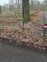 Bild zu gemeldetem Anliegen vom *2025-02-13 15:27:08