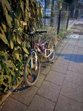 Bild zu gemeldetem Anliegen vom *2025-02-14 15:29:50