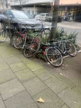 Bild zu gemeldetem Anliegen vom *2025-02-20 13:30:07