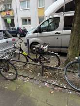 Bild zu gemeldetem Anliegen vom *2025-02-22 15:28:24