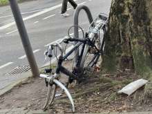 Bild zu gemeldetem Anliegen vom *2025-02-08 15:32:37