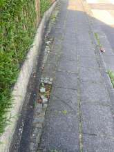 Bild zu gemeldetem Anliegen vom *2025-02-07 06:34:55