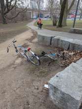 Bild zu gemeldetem Anliegen vom *2025-02-10 09:28:24
