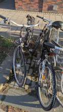 Bild zu gemeldetem Anliegen vom *2025-03-24 07:53:06