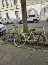 Bild zu gemeldetem Anliegen vom *2025-03-30 17:44:52