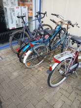 Bild zu gemeldetem Anliegen vom *2025-03-20 09:37:24