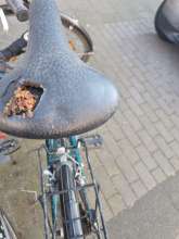 Bild zu gemeldetem Anliegen vom *2025-03-31 14:53:49