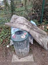 Bild zu gemeldetem Anliegen vom *2025-03-12 09:27:52