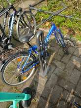 Bild zu gemeldetem Anliegen vom *2025-03-25 11:23:43