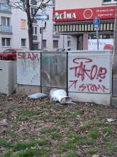 Bild zu gemeldetem Anliegen vom *2025-03-09 18:19:57
