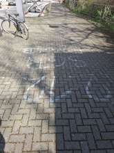 Bild zu gemeldetem Anliegen vom *2025-03-24 12:27:10