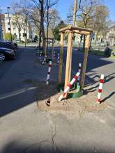 Bild zu gemeldetem Anliegen vom *2025-03-28 09:30:01