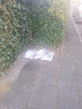 Bild zu gemeldetem Anliegen vom *2025-03-17 06:56:49