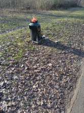 Bild zu gemeldetem Anliegen vom *2025-03-09 17:00:52