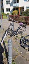 Bild zu gemeldetem Anliegen vom *2025-03-19 10:54:46