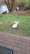 Bild zu gemeldetem Anliegen vom *2025-03-23 12:29:49