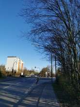 Bild zu gemeldetem Anliegen vom *2025-03-18 15:27:22