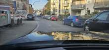 Bild zu gemeldetem Anliegen vom *2025-03-09 15:27:49