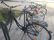 Bild zu gemeldetem Anliegen vom *2025-03-19 09:27:48