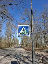 Bild zu gemeldetem Anliegen vom *2025-03-19 12:33:43