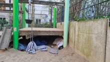 Bild zu gemeldetem Anliegen vom *2025-03-19 15:27:34
