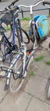 Bild zu gemeldetem Anliegen vom *2025-03-23 09:27:39